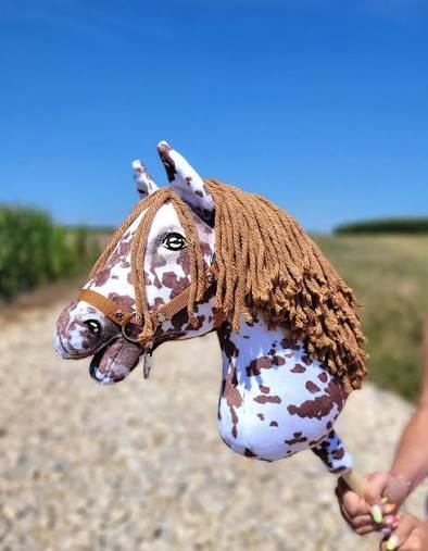 El horror de contemplar a un escritor donde podía verse a un caballo