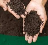 Soil analysis